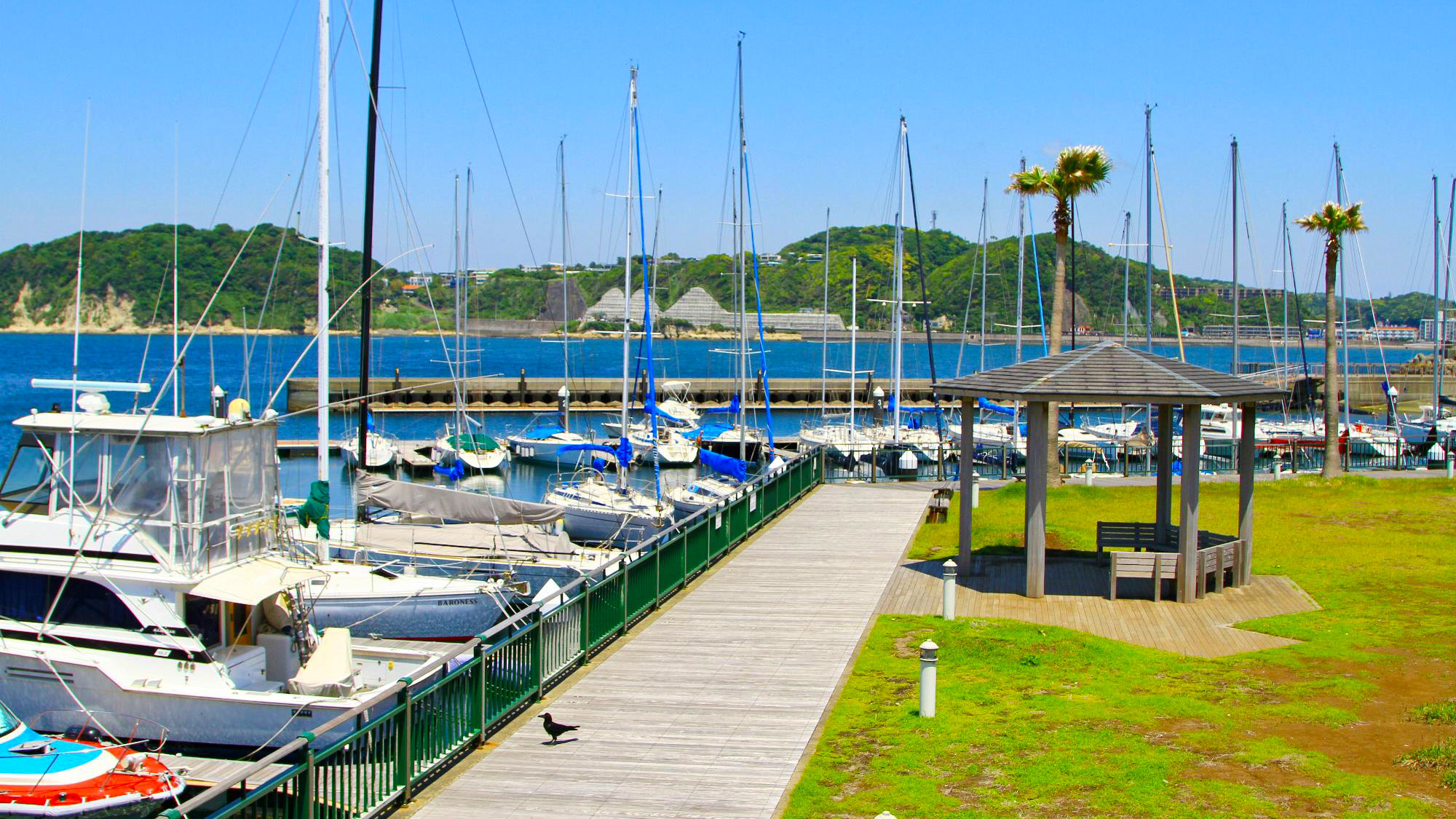 提供写真©35葉山港